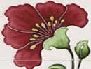 Agnews Luscia Tile Set Ivory / Burgundy<br>