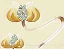 Agnews Mediterranean Tile Set Honey / Yellow
