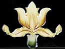 Agnews Oriental Iris Tile Set Green / Yellow<br> 