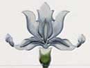 Agnews Oriental Iris Tile Set Ivory / Blue<br>