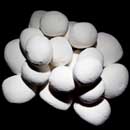 Apex White Pebbles <br />Pack 1 (NF)