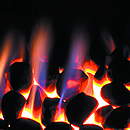 Apex Coal Effect Fuel Bed