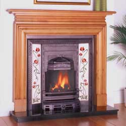 Agnews Eden Integra Cast Iron Insert