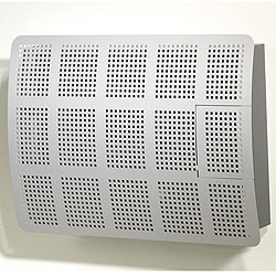 Drugasar Style 5 Balanced Flue Gas Wall Heater